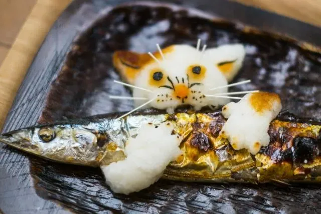 猫が人の食べ物を食べるとどうなる? 知っておくべきリスク