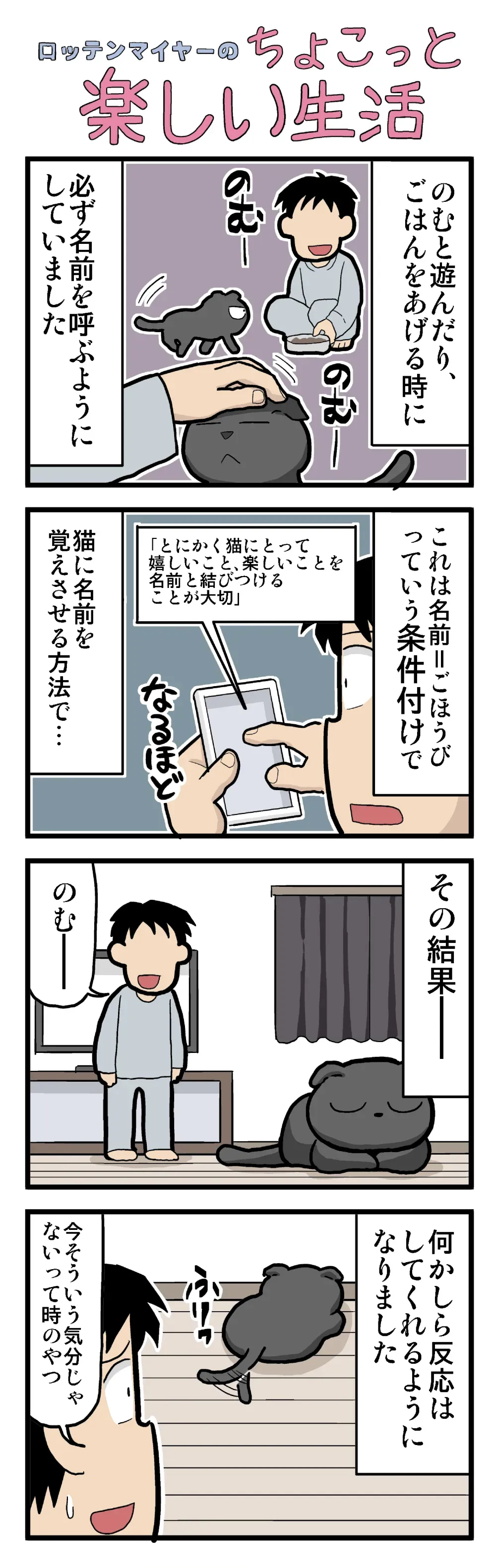 猫に名前を覚えさせる方法の基本:声かけとタイミング