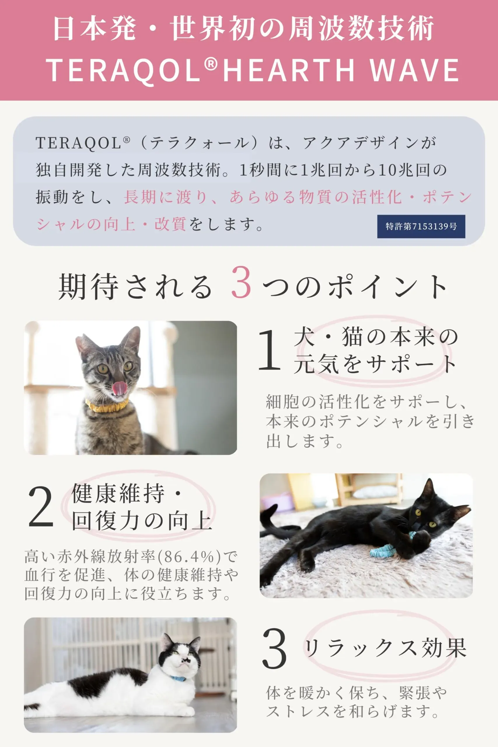 老猫の健康を維持する散歩方法のメリットとデメリット