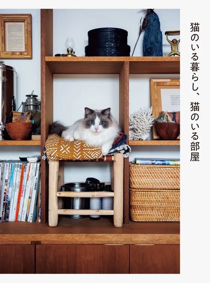 猫に優しい家具の選び方：愛猫が喜ぶ！快適空間を作る完璧マニュアル